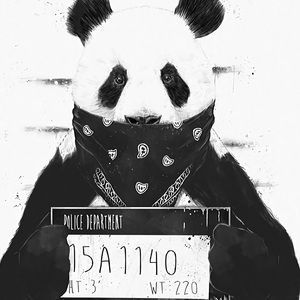 Meet your Posher, Lemar